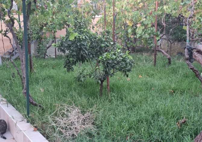 Shtepi ne shitje Shtepi Private ne Tirane, 5+1, Mobilimi E mobiluar, Pagesa 350,000  Euro.