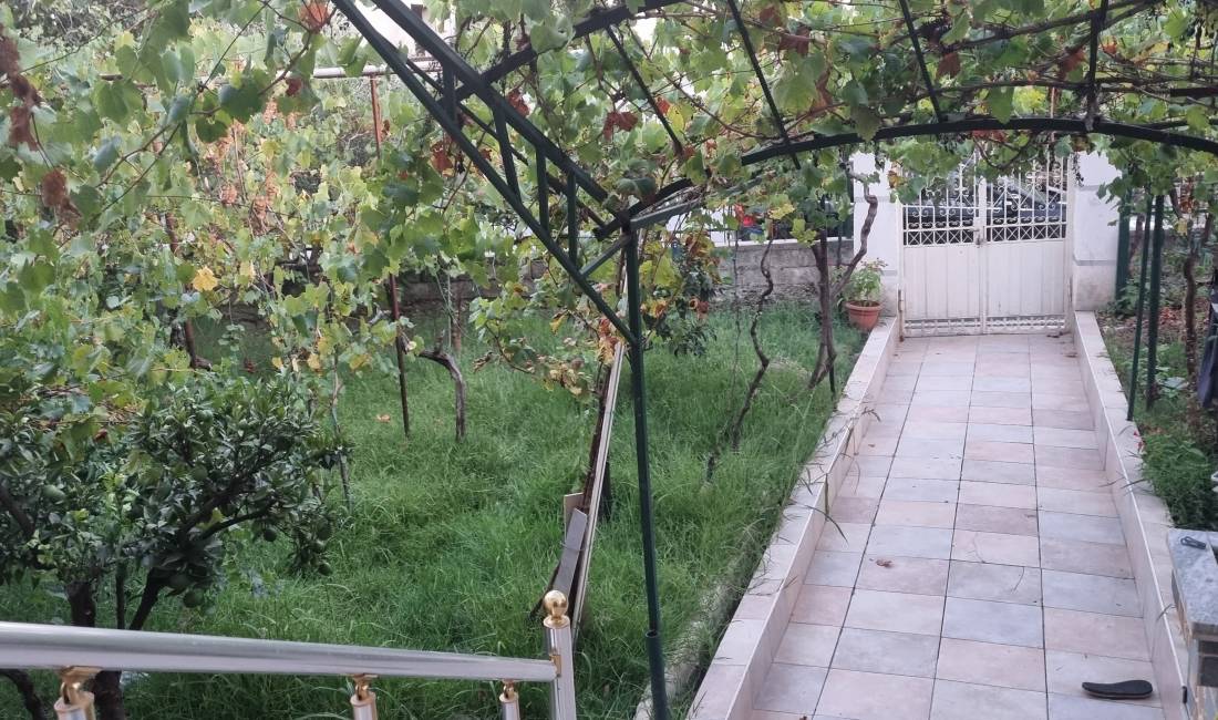 Foto 11