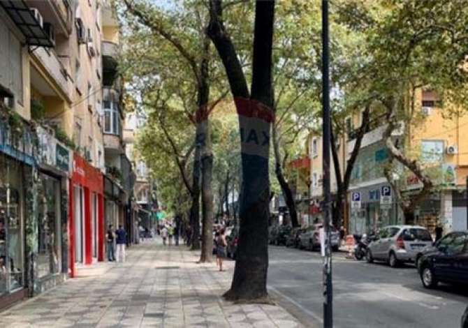 Ambient biznesi me qera 1+1 ne Tirane - 1,500 Euro