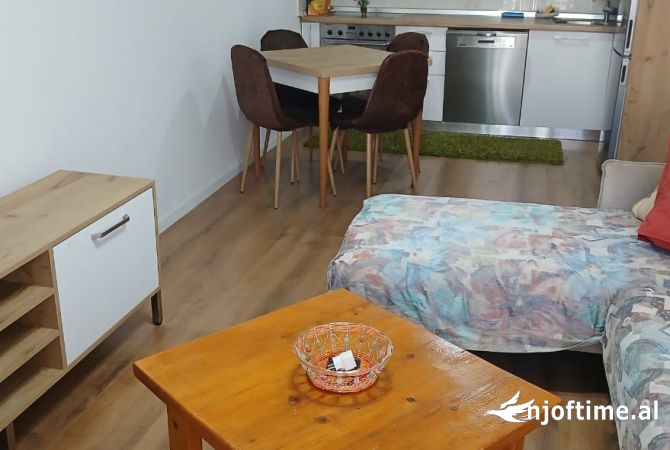 Shtepi me qera Apartament ne Tirane, 1+1, Mobilimi E mobiluar, Pagesa 600  Euro.