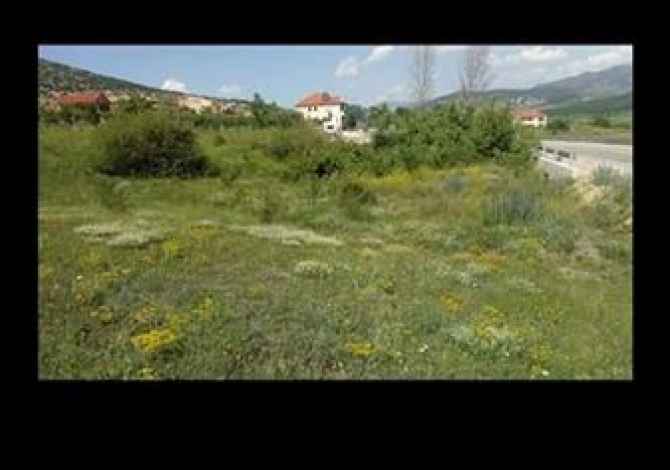 Truall ose Toke  ne Korce - 7,000 Euro
