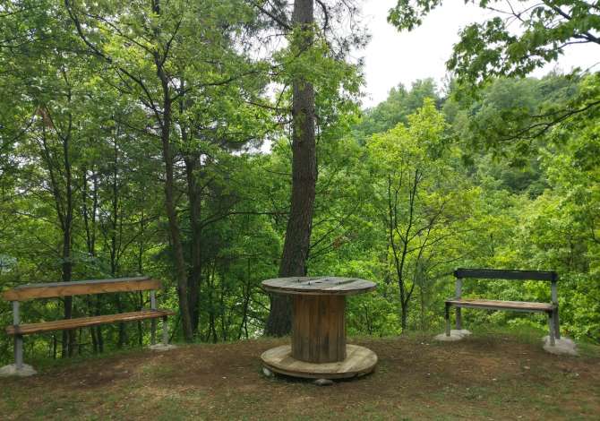 Truall ose Toke ne Tirane - 660,000 Euro