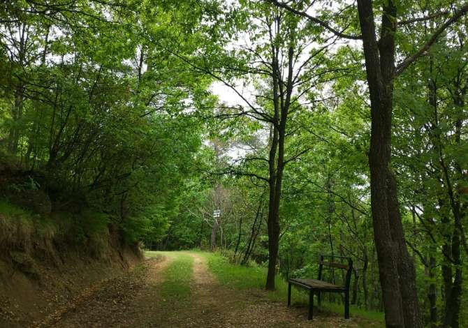 Truall ose Toke ne Tirane - 660,000 Euro