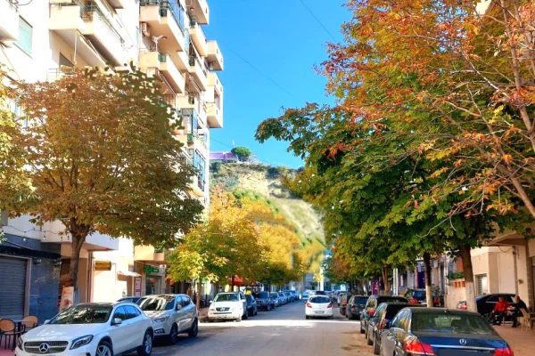 Ambient biznesi ne shitje 2+1 ne Vlore - 468,600 Euro