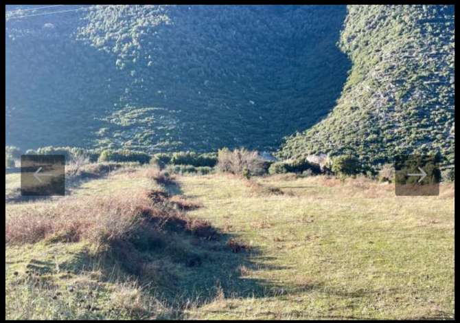 Truall ose Toke  ne Vlore - 330,000 Euro