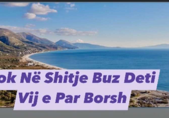 Truall ose Toke ne Himare - 1,238,000 Euro