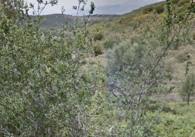 Terreno in vendita  a Santa Quaranta - 3,750,000 Euro