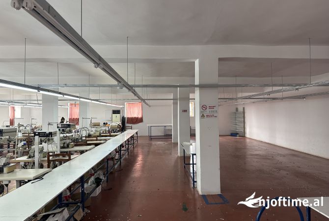 Ambient biznesi ne shitje 4+1 ne Fier - 6,850,000 Euro