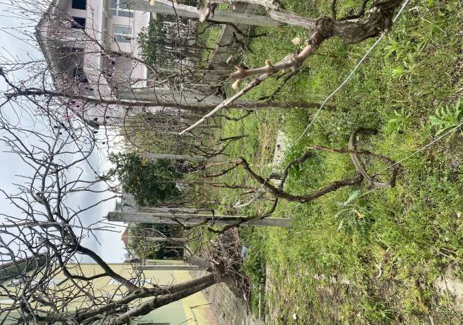 Shtepi ne shitje Shtepi Private ne Tirane, 4+1, Mobilimi Pjeserisht e mobiluar, Pagesa 165,000  Euro.