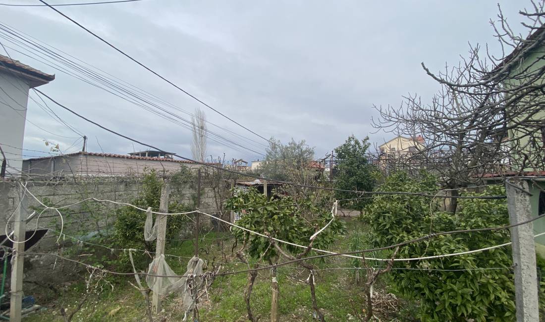 Foto 11