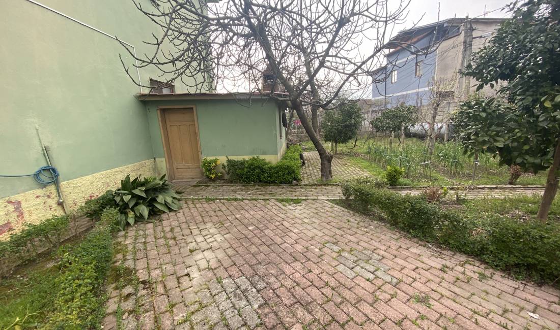 Foto 6