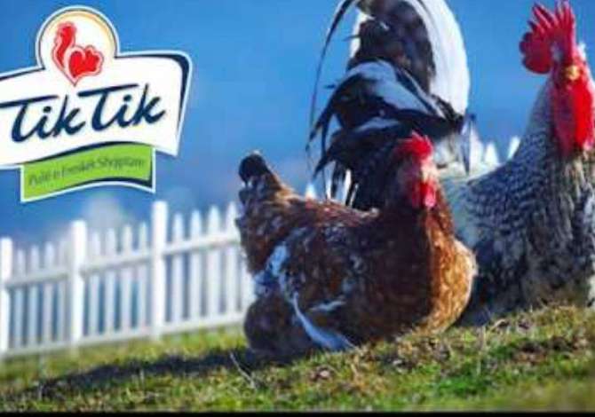 Njoftime Pune Agjent Shitje 
