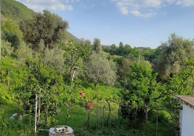 Truall ose Toke ne Tirane - 140,000 Euro