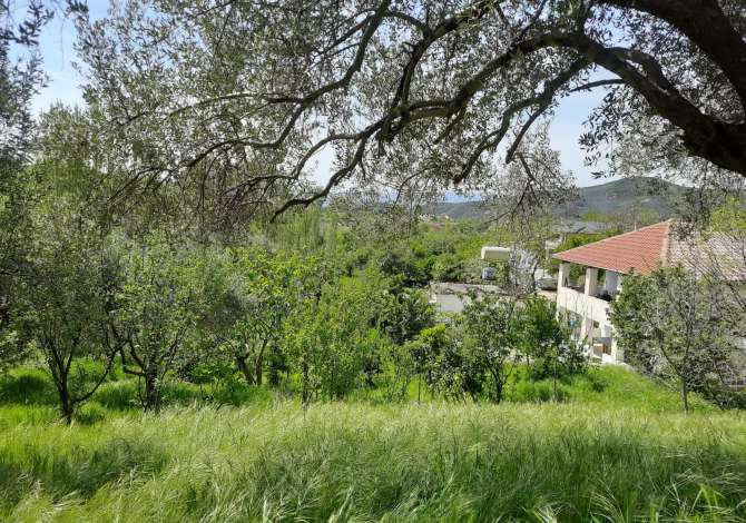 Truall ose Toke ne Tirane - 140,000 Euro