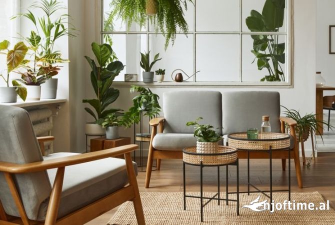 Furniture services in Elbasan - 50 Euro