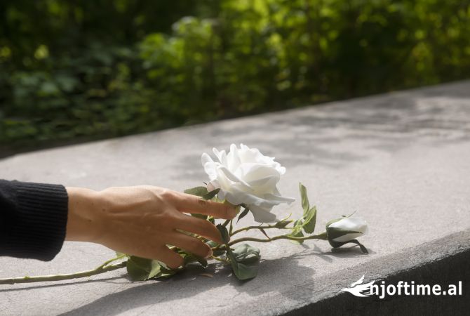 Funeral Agent  in Shkodra - 0 