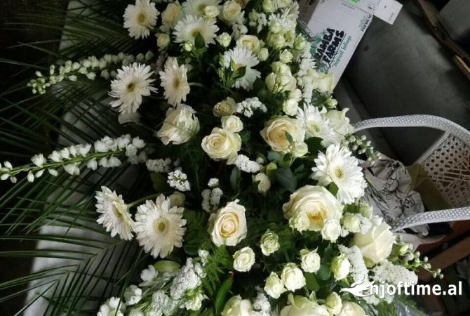 Funeral Agent  in Tirana - 0 