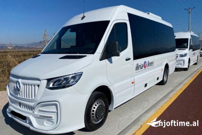Transport and Infrastructure Services in Lezha - 0 