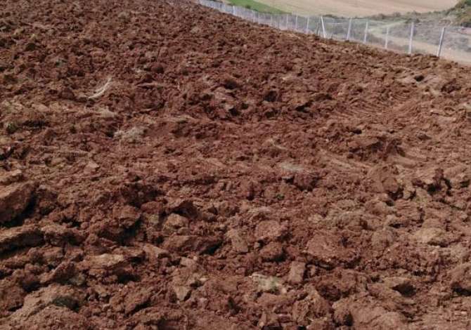 Truall ose Toke  ne Kavaje - 80,000 Euro