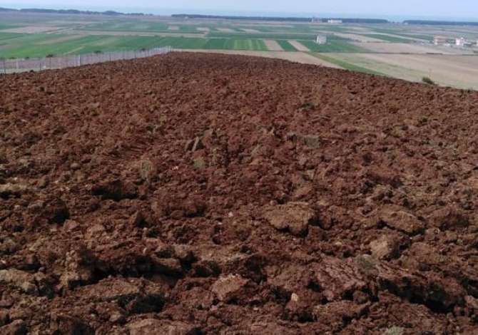 Truall ose Toke  ne Kavaje - 80,000 Euro