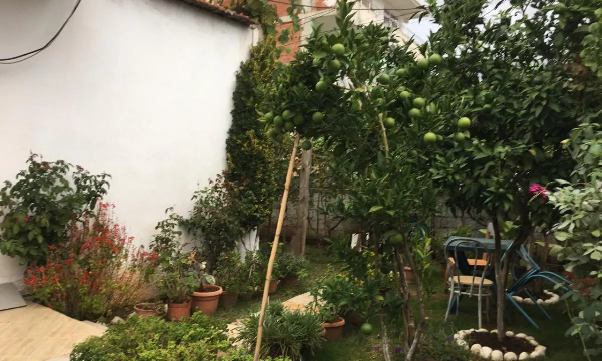 Foto 1