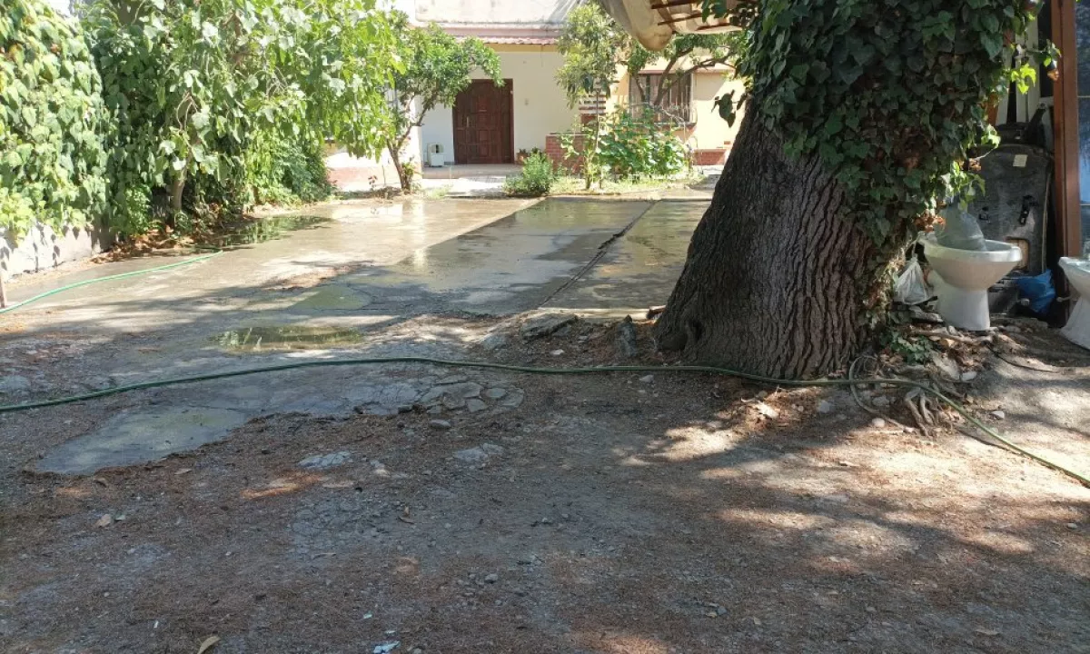 Foto 6