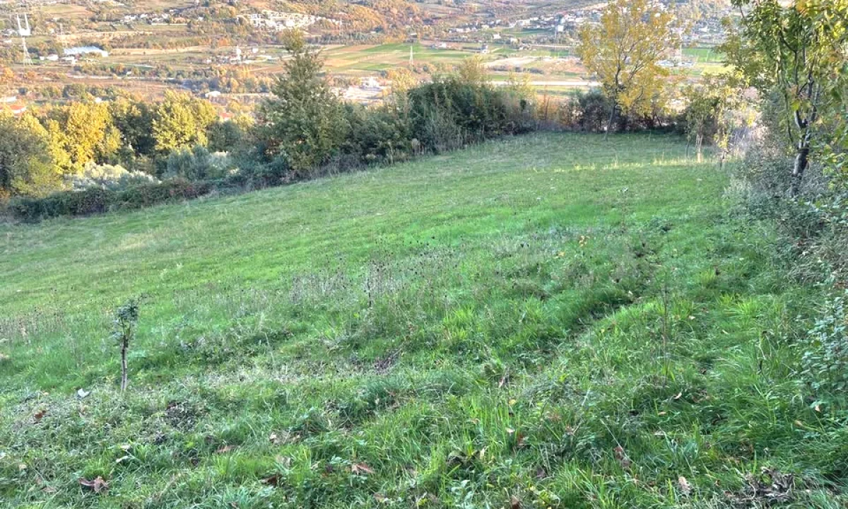 Shiten 20000 m2 toke ne Vile Bashtove Kavaje.