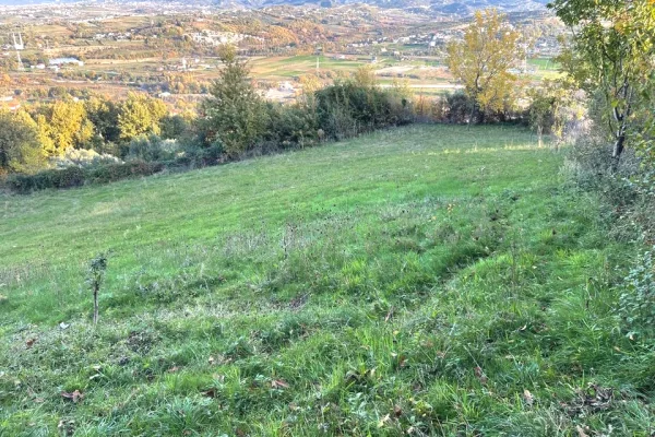 Truall ose Toke  ne Kavaje - 260,000 Euro