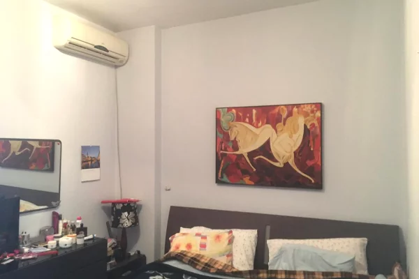 House for Rent 1+1 in Tirana - 350 Euro