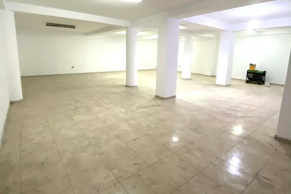 Ambient biznesi me qera 4+1 ne Tirane - 100,000 Leke