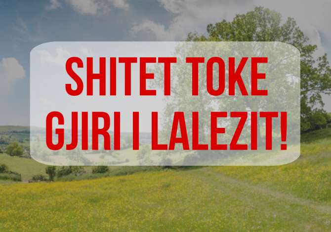 Truall ose Toke ne Durres - 100,000 Euro