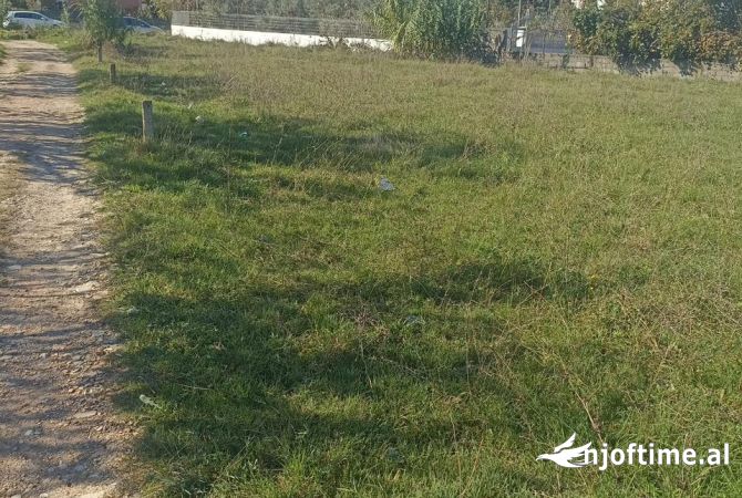 Truall ose Toke ne Tirane - 155,000 Euro