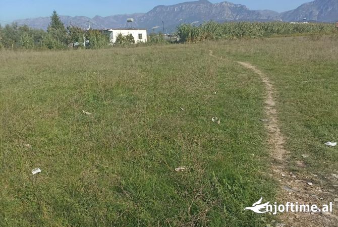 Truall ose Toke ne Tirane - 155,000 Euro