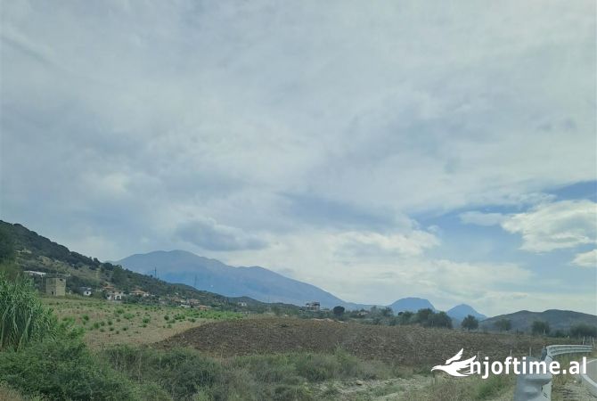 Truall ose Toke  ne Vlore - 160,000 Euro