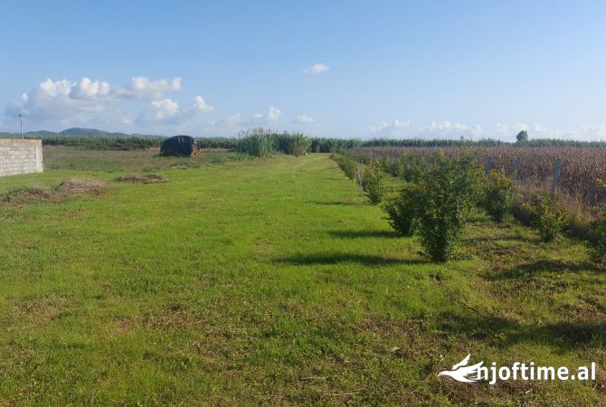 Terreno in vendita  a Kavaja - 180,000 Euro