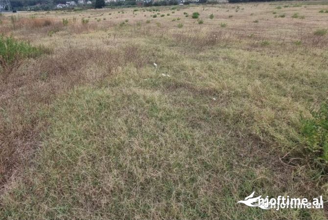 Truall ose Toke  ne Tirane - 2,100,000 Euro