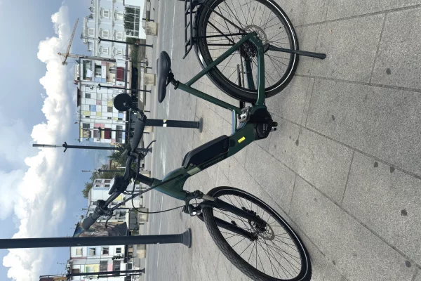 Shitet biciklete elektrike gjermane