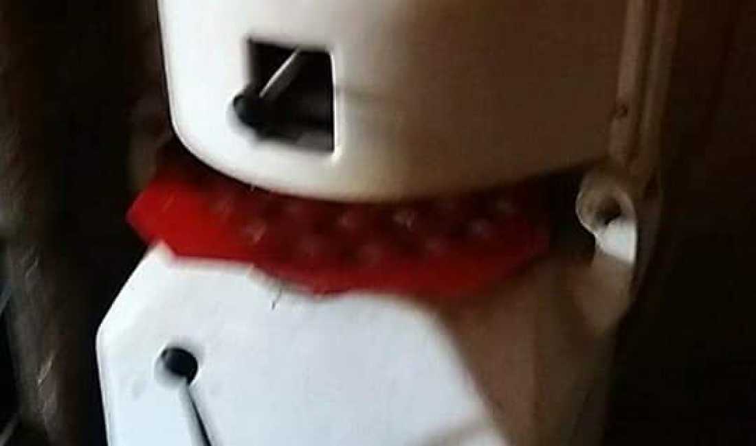 Foto 5