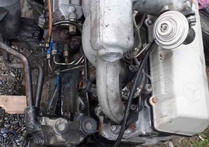 SHITET MOTORR PER SPRINTER