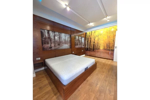 House for Rent 1+1 in Tirana - 650 Euro