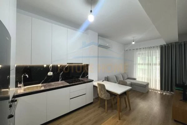 Shtepi me qera Apartament ne Tirane, 1+1, Mobilimi E mobiluar, Pagesa 450  Euro.
