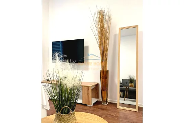 Shtepi me qera Apartament ne Tirane, 2+1, Mobilimi E mobiluar, Pagesa 1,100  Euro.