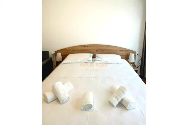 Shtepi me qera Apartament ne Tirane, 2+1, Mobilimi E mobiluar, Pagesa 1,100  Euro.