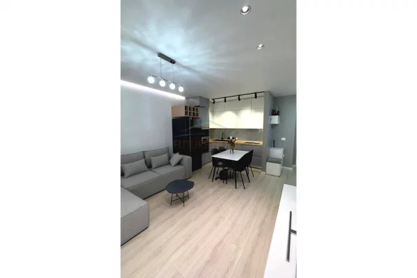 Shtepi ne shitje Apartament ne Tirane, 1+1, Mobilimi E mobiluar, Pagesa 170,000  Euro.