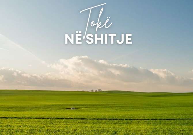 Truall ose Toke  ne Tirane - 1,200,000 Euro