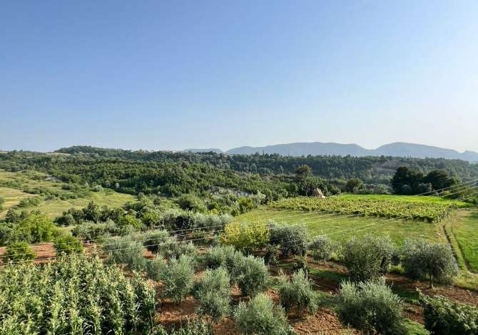 Shtepi me qera Apartament ne Tirane, 6+1, Mobilimi Pjeserisht e mobiluar, Pagesa 2,500  Euro.