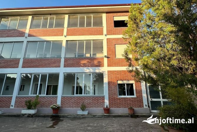 QERA, GODINE BIZNESI, FRESKU, TIRANE, TT 174