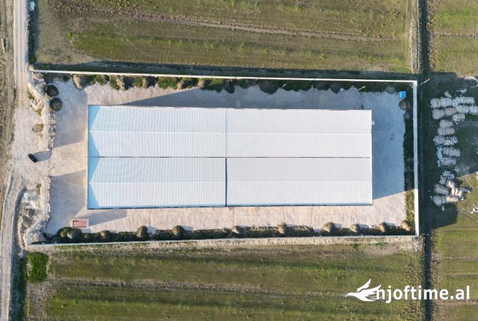 Jepet me qira kapanon industrial ne Porto Romano