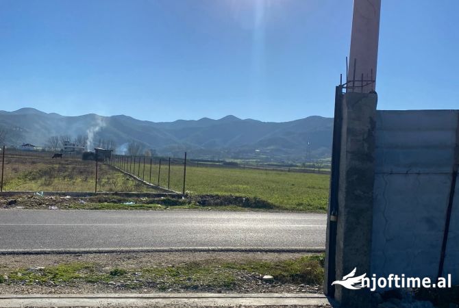 Truall ose Toke  ne Tirane - 300,000 Euro