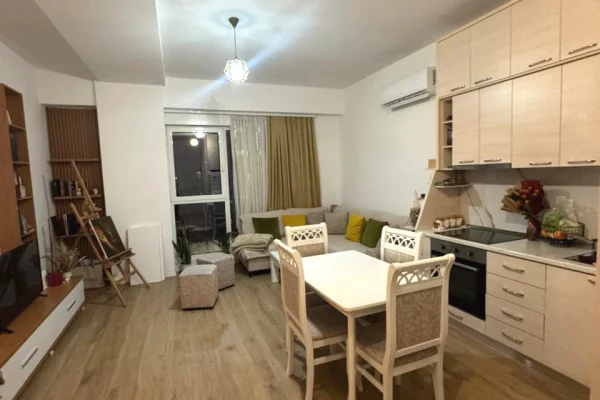 Shtepi me qera Apartament ne Tirane, 1+1, Mobilimi E mobiluar, Pagesa 500  Euro.